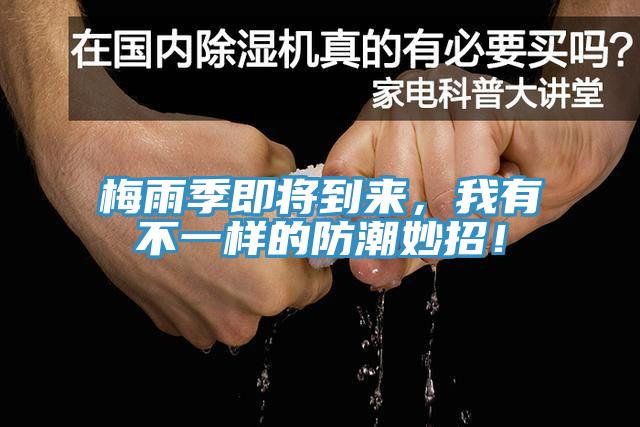 梅雨季即將到來，我有不一樣的防潮妙招！
