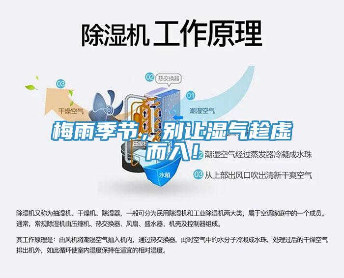 梅雨季節(jié)，別讓濕氣趁虛而入！