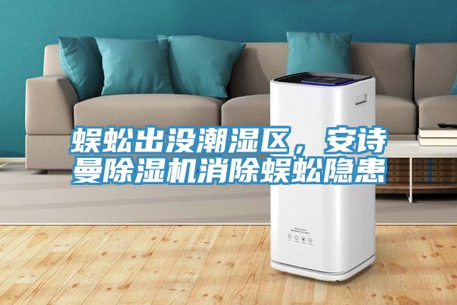 蜈蚣出沒潮濕區(qū)，安詩(shī)曼除濕機(jī)消除蜈蚣隱患