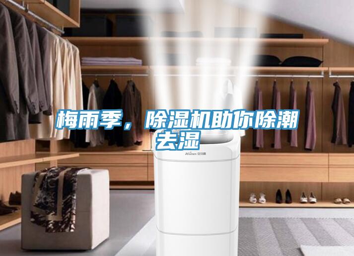 梅雨季，除濕機(jī)助你除潮去濕