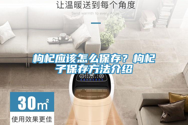 枸杞應(yīng)該怎么保存？枸杞子保存方法介紹