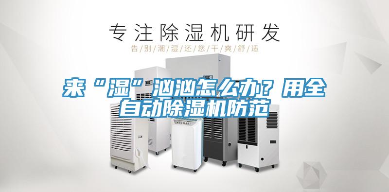 來“濕”洶洶怎么辦？用全自動除濕機(jī)防范