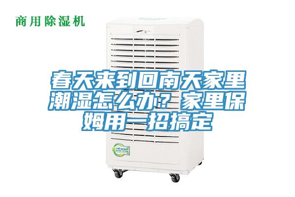 春天來到回南天家里潮濕怎么辦？家里保姆用一招搞定