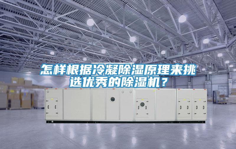 怎樣根據(jù)冷凝除濕原理來挑選優(yōu)秀的除濕機？