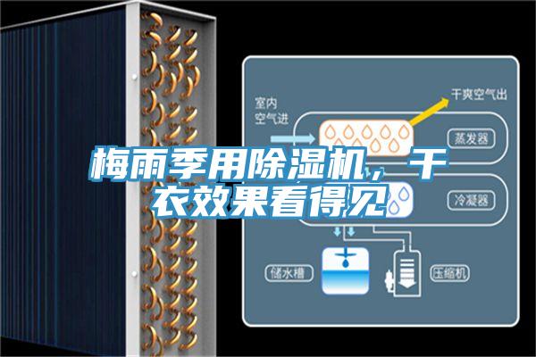 梅雨季用除濕機(jī)，干衣效果看得見(jiàn)