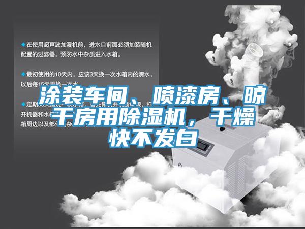 涂裝車間、噴漆房、晾干房用除濕機(jī)，干燥快不發(fā)白