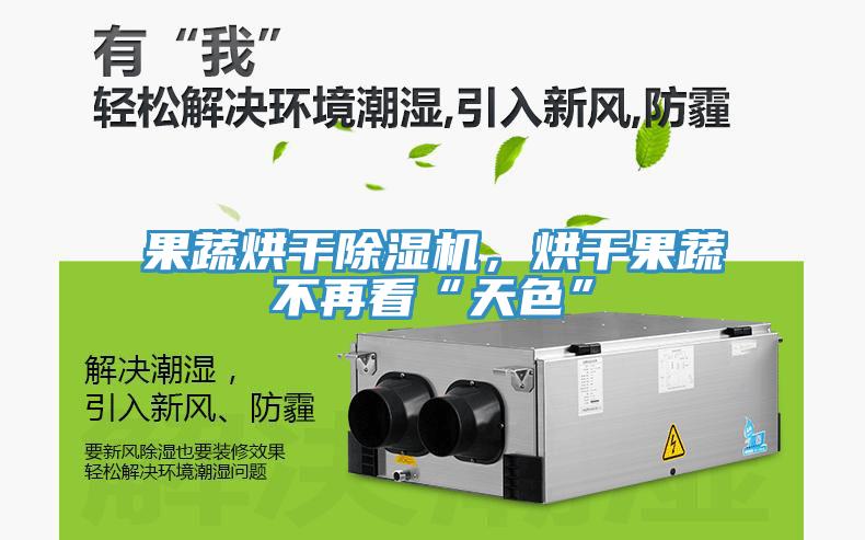 果蔬烘干除濕機，烘干果蔬不再看“天色”