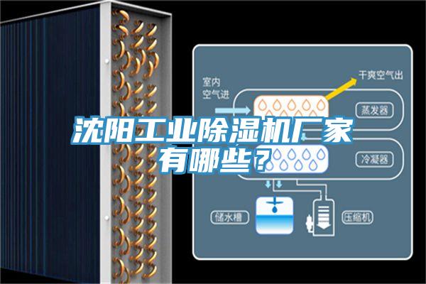 沈陽工業(yè)除濕機廠家有哪些？