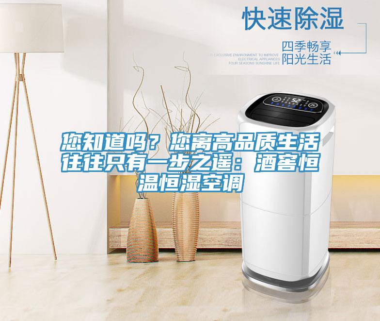 您知道嗎？您離高品質(zhì)生活往往只有一步之遙：酒窖恒溫恒濕空調(diào)
