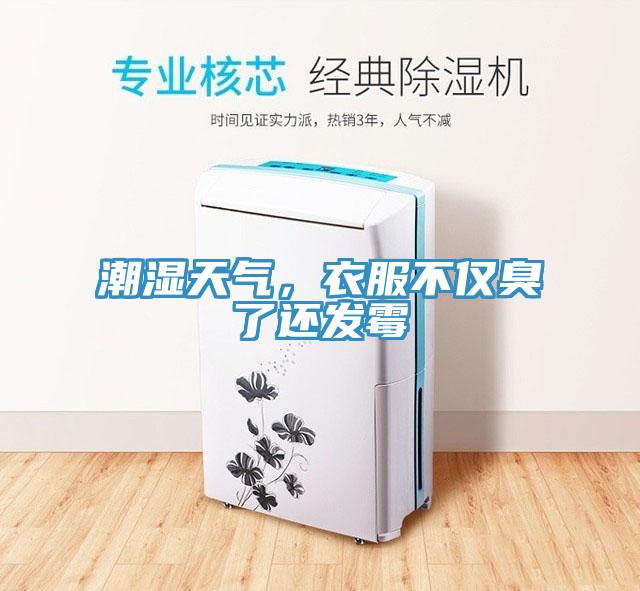 潮濕天氣，衣服不僅臭了還發(fā)霉