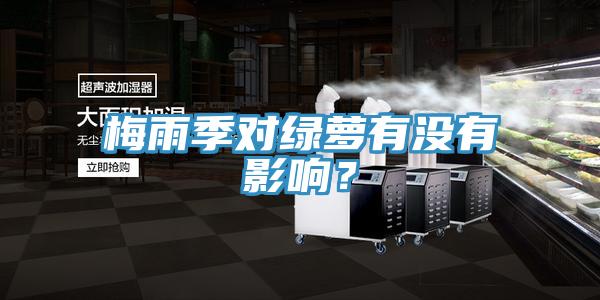 梅雨季對綠蘿有沒有影響？