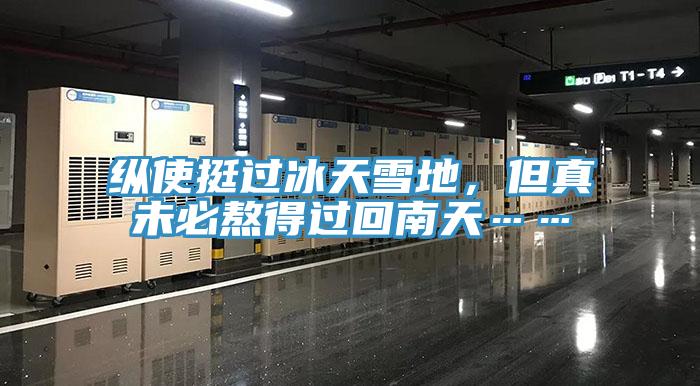 縱使挺過(guò)冰天雪地，但真未必熬得過(guò)回南天……