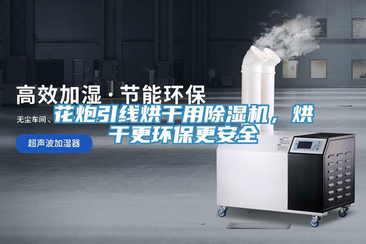 花炮引線烘干用除濕機(jī)，烘干更環(huán)保更安全