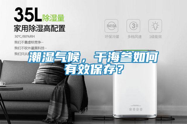 潮濕氣候，干海參如何有效保存？