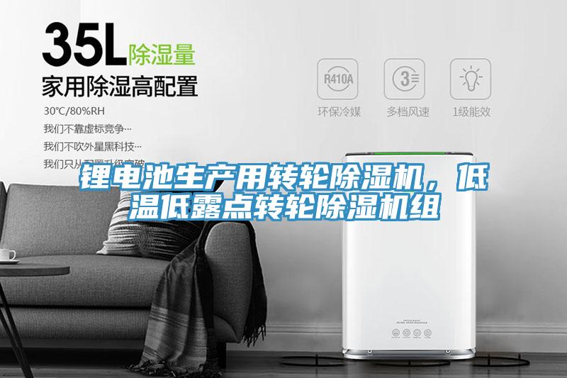 鋰電池生產(chǎn)用轉(zhuǎn)輪除濕機，低溫低露點轉(zhuǎn)輪除濕機組
