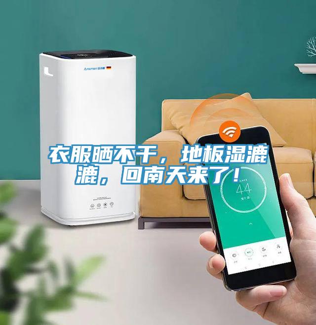 衣服曬不干，地板濕漉漉，回南天來了！