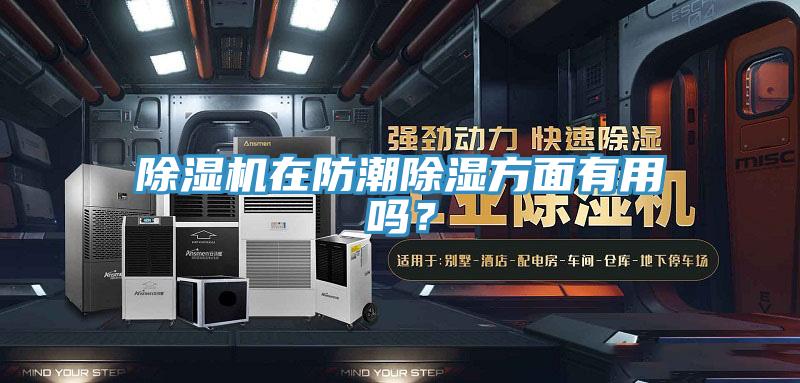 除濕機(jī)在防潮除濕方面有用嗎？