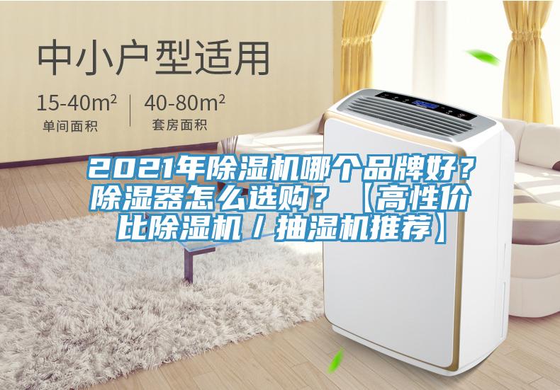 2021年除濕機哪個品牌好？除濕器怎么選購？【高性價比除濕機／抽濕機推薦】