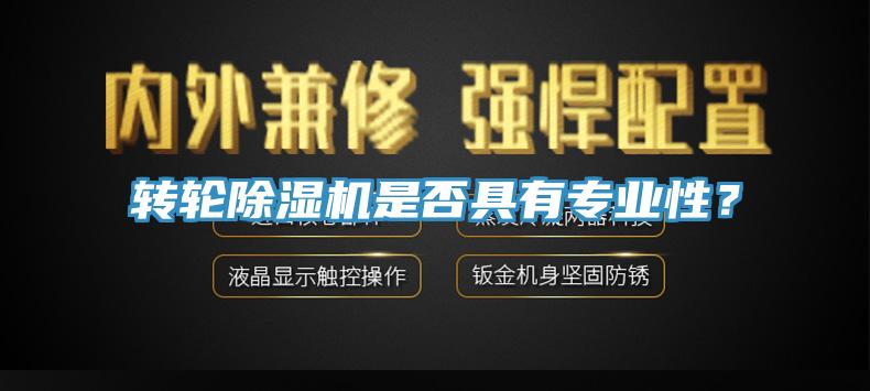 轉(zhuǎn)輪除濕機是否具有專業(yè)性？