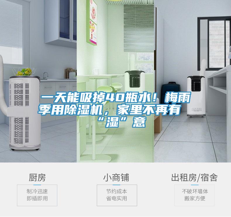 一天能吸掉40瓶水！梅雨季用除濕機(jī)，家里不再有“濕”意
