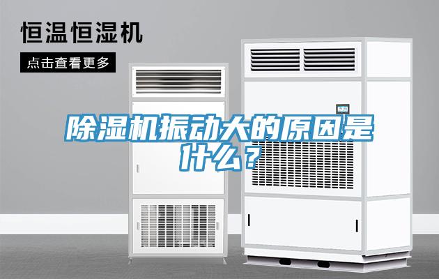 除濕機(jī)振動(dòng)大的原因是什么？