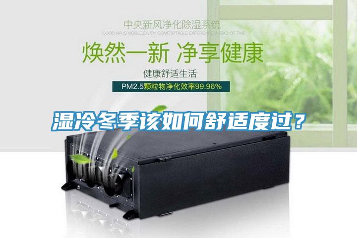 濕冷冬季該如何舒適度過？