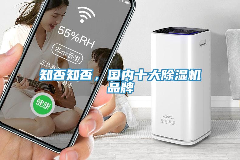 知否知否，國(guó)內(nèi)十大除濕機(jī)品牌