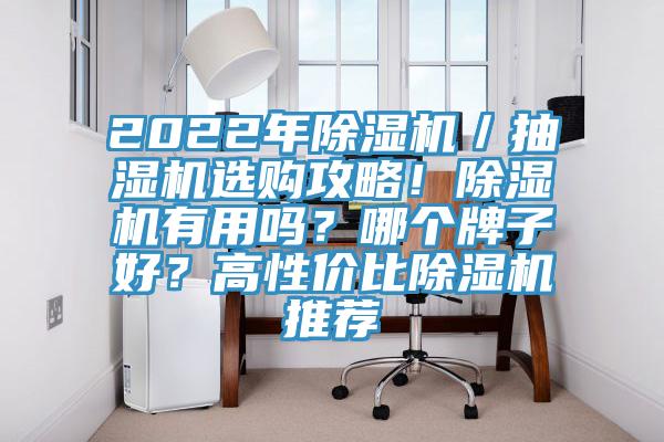 2022年除濕機／抽濕機選購攻略！除濕機有用嗎？哪個牌子好？高性價比除濕機推薦