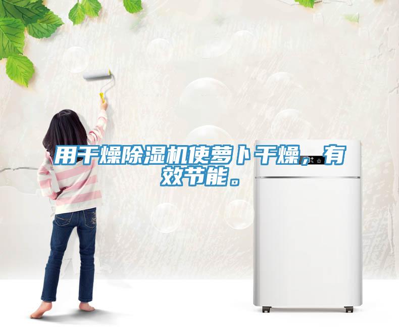 用干燥除濕機使蘿卜干燥，有效節(jié)能。