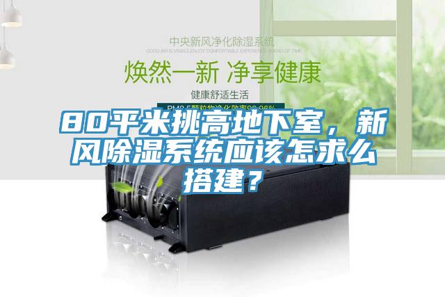 80平米挑高地下室，新風(fēng)除濕系統(tǒng)應(yīng)該怎求么搭建？