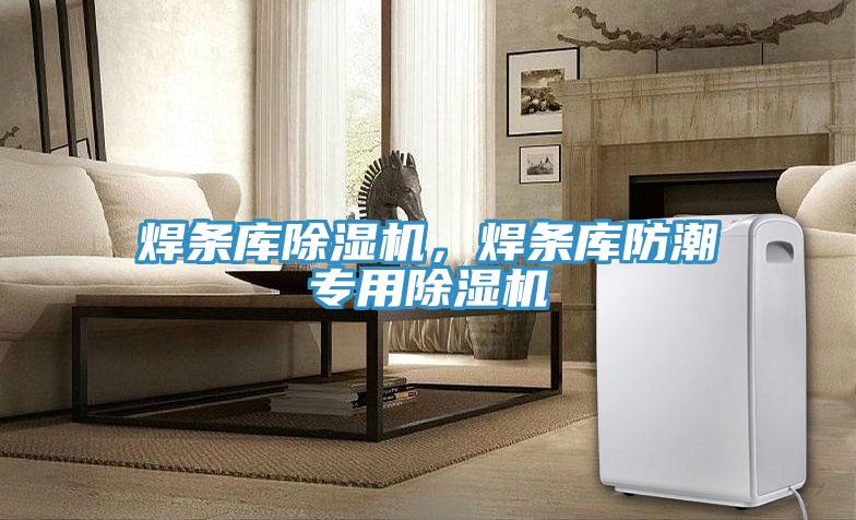 焊條庫除濕機(jī)，焊條庫防潮專用除濕機(jī)