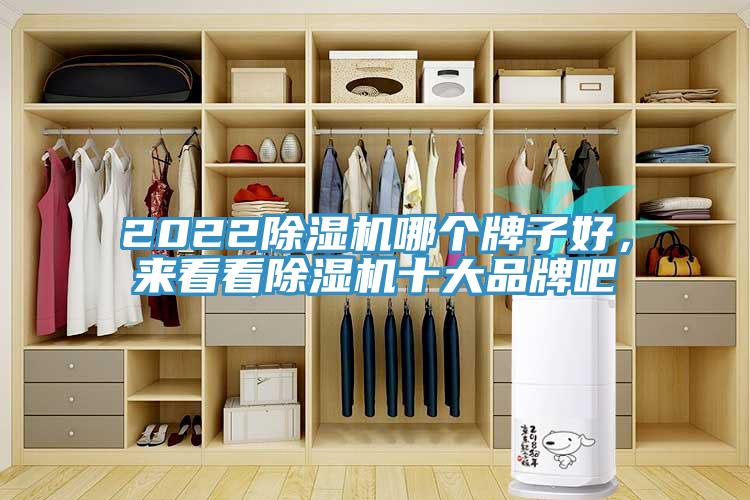 2022除濕機哪個牌子好，來看看除濕機十大品牌吧