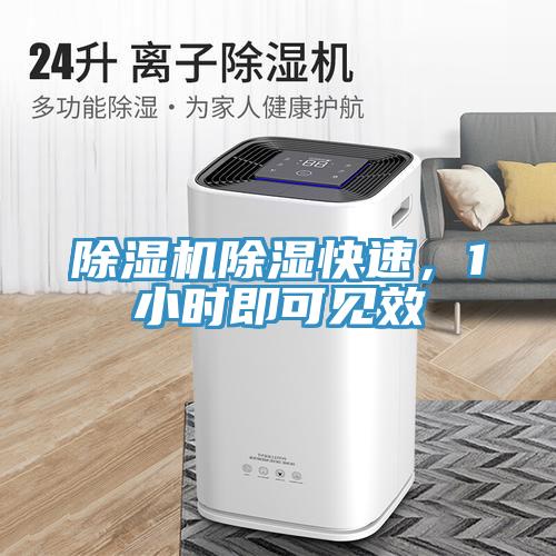 除濕機除濕快速，1小時即可見效