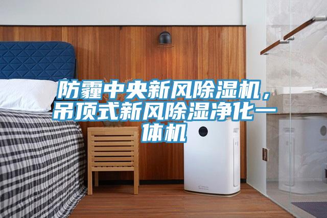 防霾中央新風(fēng)除濕機(jī)，吊頂式新風(fēng)除濕凈化一體機(jī)