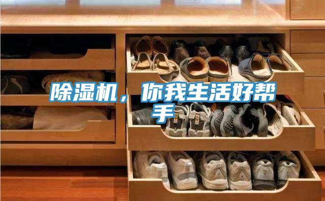 除濕機，你我生活好幫手