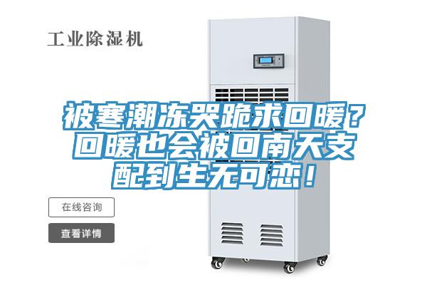 被寒潮凍哭跪求回暖？回暖也會(huì)被回南天支配到生無可戀！