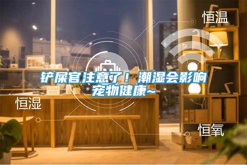鏟屎官注意了！潮濕會影響寵物健康~