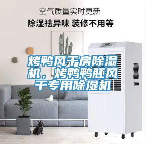 烤鴨風(fēng)干房除濕機(jī)，烤鴨鴨胚風(fēng)干專用除濕機(jī)
