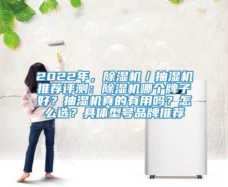 2022年，除濕機／抽濕機推薦評測：除濕機哪個牌子好？抽濕機真的有用嗎？怎么選？具體型號品牌推薦