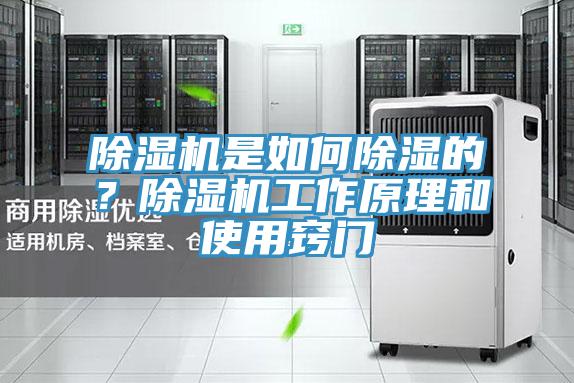 除濕機(jī)是如何除濕的？除濕機(jī)工作原理和使用竅門