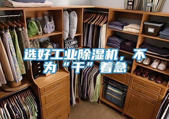選好工業(yè)除濕機，不為“干”著急