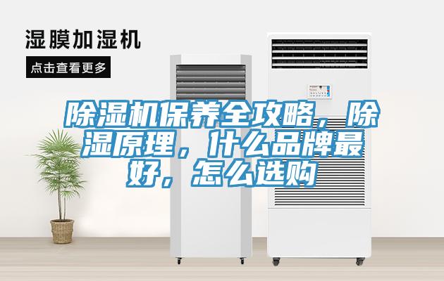 除濕機保養(yǎng)全攻略，除濕原理，什么品牌最好，怎么選購