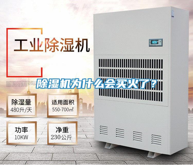 除濕機為什么會買火了？