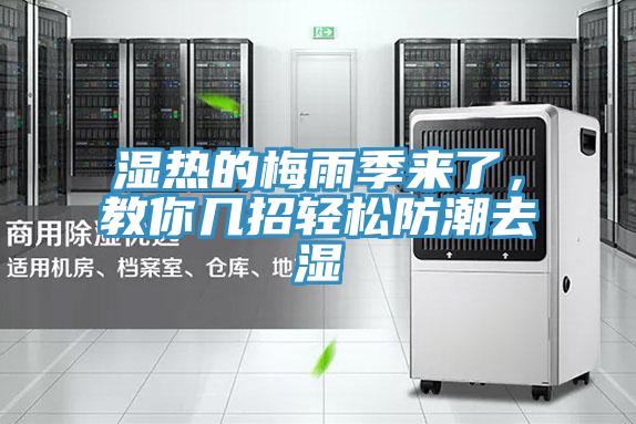 濕熱的梅雨季來了，教你幾招輕松防潮去濕
