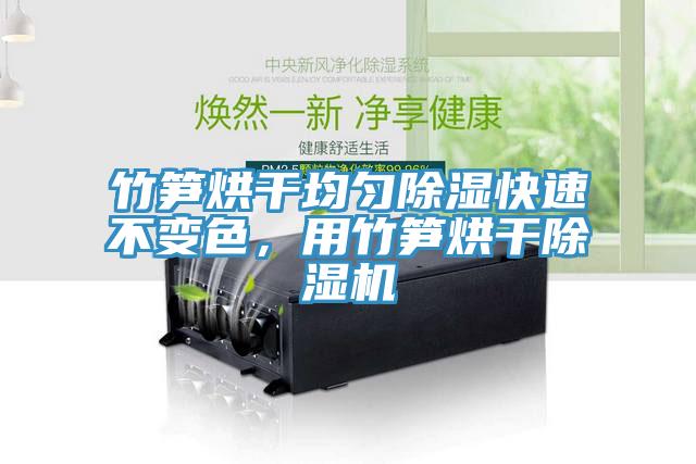 竹筍烘干均勻除濕快速不變色，用竹筍烘干除濕機