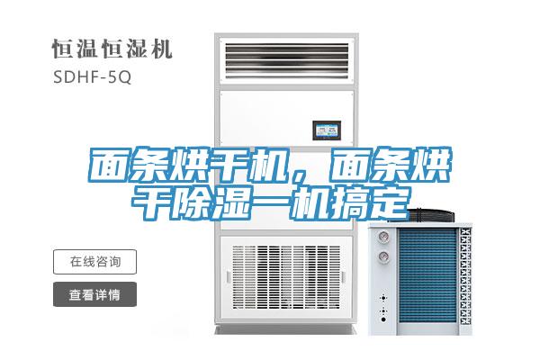 面條烘干機(jī)，面條烘干除濕一機(jī)搞定