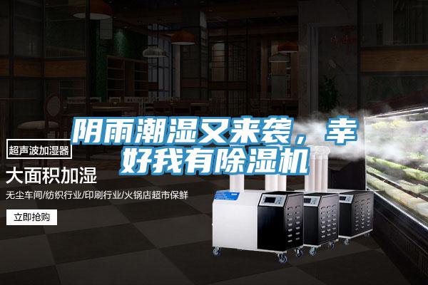 陰雨潮濕又來襲，幸好我有除濕機(jī)
