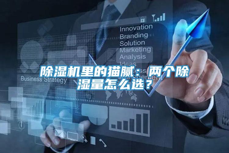 除濕機(jī)里的貓膩：兩個(gè)除濕量怎么選？