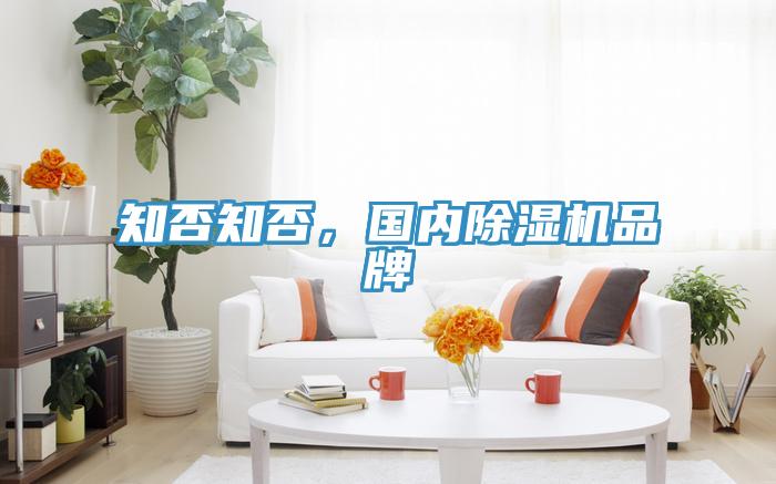 知否知否，國(guó)內(nèi)除濕機(jī)品牌