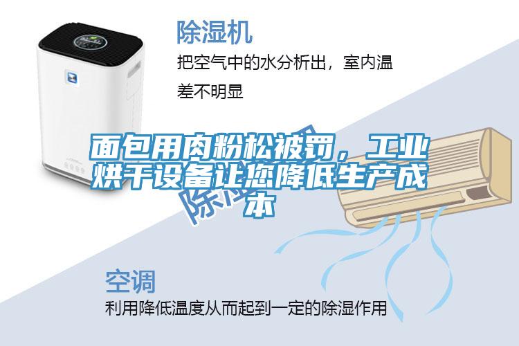 面包用肉粉松被罰，工業(yè)烘干設(shè)備讓您降低生產(chǎn)成本